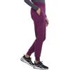 Iflex Jogger Scrubs for Women, Yoga-Inspired Knit Waistband Scrub Pants CK011(Wine)