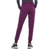 Iflex Jogger Scrubs for Women, Yoga-Inspired Knit Waistband Scrub Pants CK011(Wine)