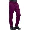Workwear Revolution Men Scrubs Pant Natural Rise Jogger WW012(Wine)